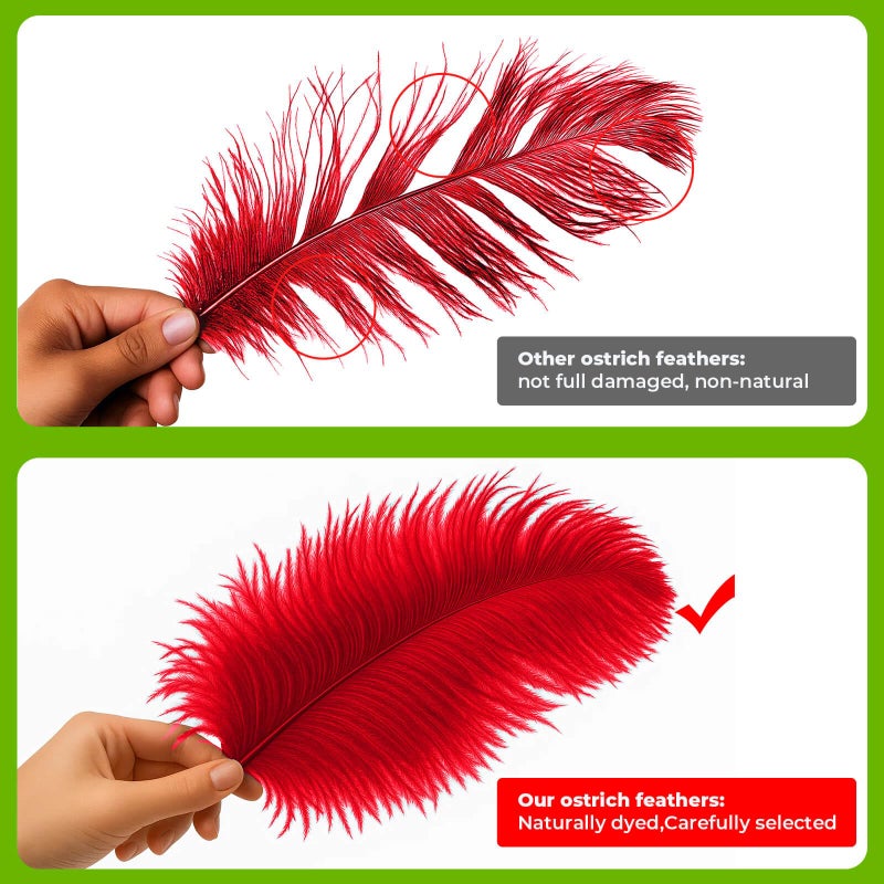 Piokio 20 pcs Natural Red Ostrich Feathers 12-14 inch(30-35 cm) Bulk for Wedding Party Centerpieces and DIY Clothes Decoration, Gatsby Decorations - Image 3